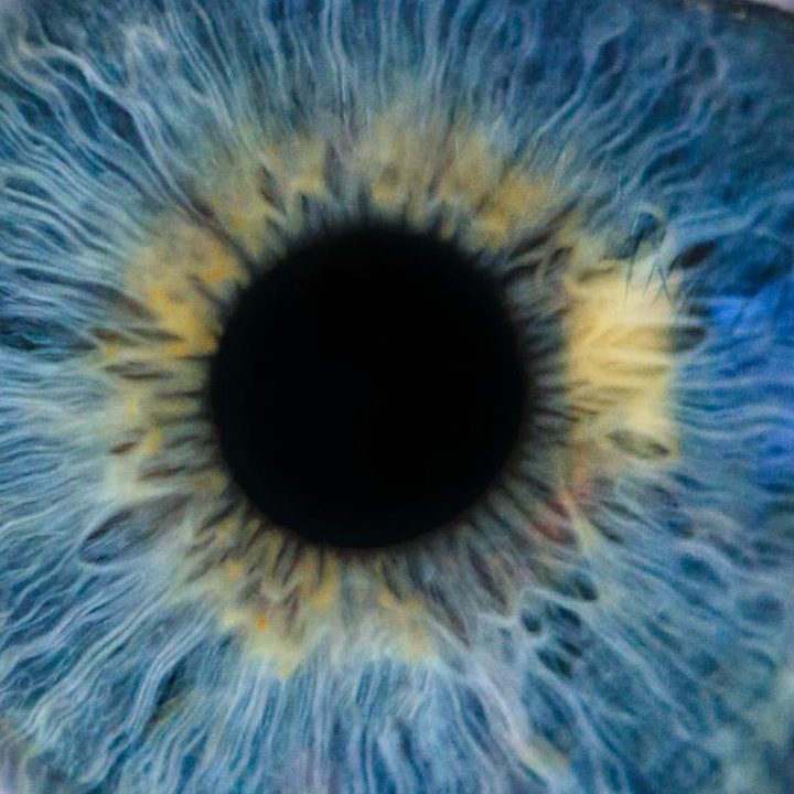 Human eye image by Michael Morse on Pixels.com