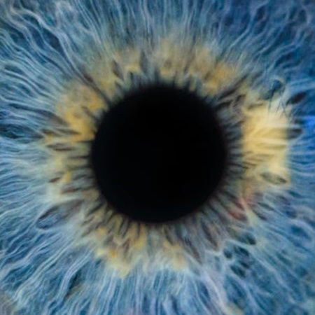 Dark pupil gazing from sapphire blue human eye close-up