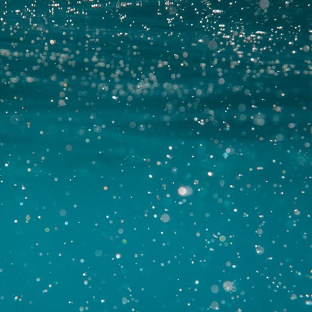 Clusters of translucent bubbles rising through deep blue water